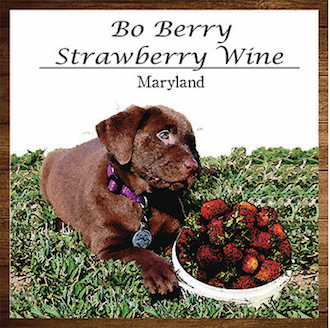 Product Image for Bo-Berry Strawberry Wine